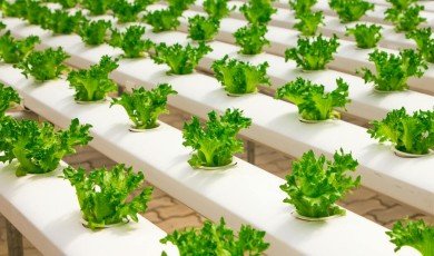 Farming Smarter, Saving Nature