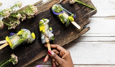 Erbe und Lebensraum. Der Geist des Willunga Basi